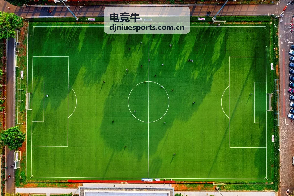 电竞牛DOTA2团战解析视频封面
